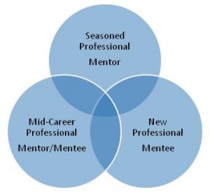 mentorship program mission chart